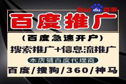 短视频平台上的信息流广告投放效果分析